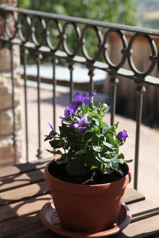 B&B Lavanda E Rosmarino Assisi Exteriér fotografie